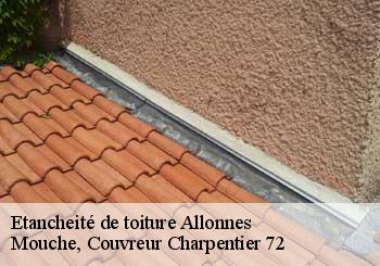 Etancheité de toiture  allonnes-72700 Mouche, Couvreur Charpentier 72