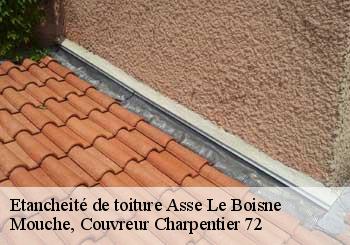 Etancheité de toiture  asse-le-boisne-72130 Mouche, Couvreur Charpentier 72