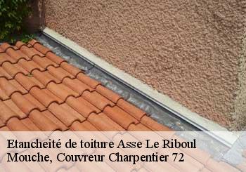 Etancheité de toiture  asse-le-riboul-72170 Mouche, Couvreur Charpentier 72