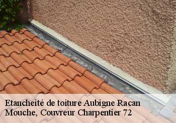Etancheité de toiture  aubigne-racan-72800 Mouche, Couvreur Charpentier 72