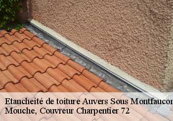 Etancheité de toiture  auvers-sous-montfaucon-72540 Mouche, Couvreur Charpentier 72