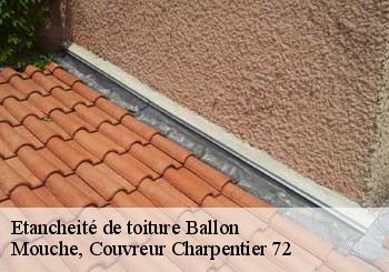 Etancheité de toiture ballon-72290 Mouche, Couvreur Charpentier 72