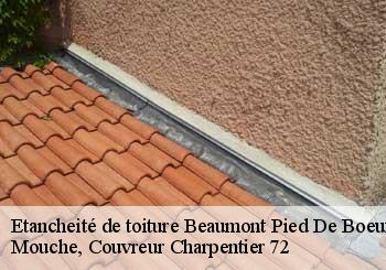 Etancheité de toiture  beaumont-pied-de-boeuf-72500 Mouche, Couvreur Charpentier 72