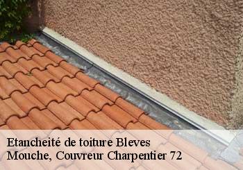 Etancheité de toiture bleves-72670 Mouche, Couvreur Charpentier 72