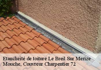 Etancheité de toiture  le-breil-sur-merize-72370 Mouche, Couvreur Charpentier 72