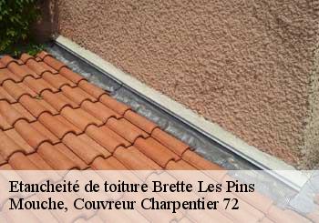 Etancheité de toiture  brette-les-pins-72250 Mouche, Couvreur Charpentier 72