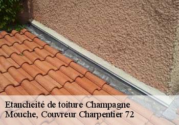 Etancheité de toiture  champagne-72470 Mouche, Couvreur Charpentier 72