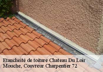 Etancheité de toiture  chateau-du-loir-72500 Mouche, Couvreur Charpentier 72