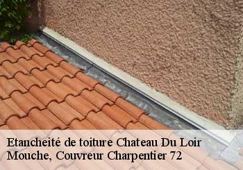 Etancheité de toiture chateau-du-loir-72500 Mouche, Couvreur Charpentier 72