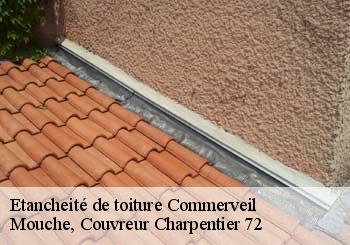Etancheité de toiture  commerveil-72600 Mouche, Couvreur Charpentier 72