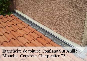 Etancheité de toiture  conflans-sur-anille-72120 Mouche, Couvreur Charpentier 72