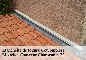 Etancheité de toiture  coulombiers-72130 Mouche, Couvreur Charpentier 72
