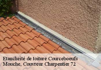 Etancheité de toiture  courceboeufs-72290 Mouche, Couvreur Charpentier 72