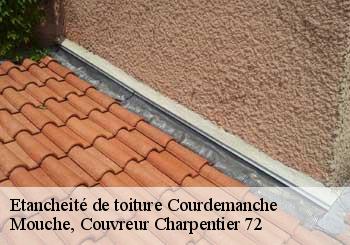 Etancheité de toiture  courdemanche-72150 Mouche, Couvreur Charpentier 72