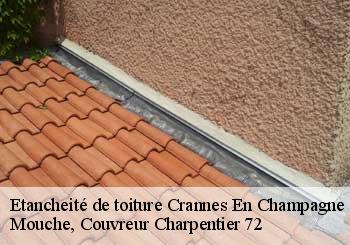 Etancheité de toiture  crannes-en-champagne-72540 Mouche, Couvreur Charpentier 72