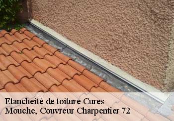 Etancheité de toiture  cures-72240 Mouche, Couvreur Charpentier 72