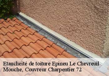 Etancheité de toiture  epineu-le-chevreuil-72540 Mouche, Couvreur Charpentier 72