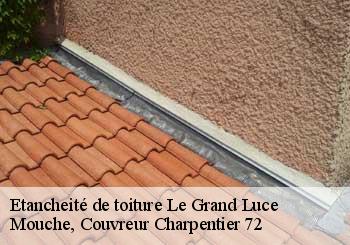 Etancheité de toiture  le-grand-luce-72150 Mouche, Couvreur Charpentier 72