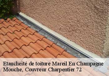 Etancheité de toiture  mareil-en-champagne-72540 Mouche, Couvreur Charpentier 72