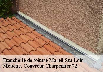 Etancheité de toiture  mareil-sur-loir-72200 Mouche, Couvreur Charpentier 72