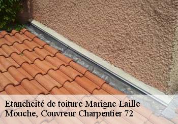 Etancheité de toiture  marigne-laille-72220 Mouche, Couvreur Charpentier 72