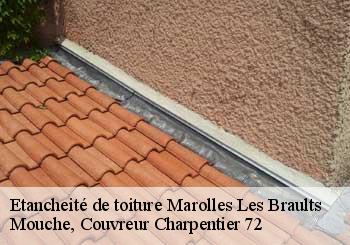 Etancheité de toiture  marolles-les-braults-72260 Mouche, Couvreur Charpentier 72