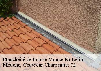 Etancheité de toiture  monce-en-belin-72230 Mouche, Couvreur Charpentier 72