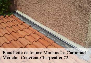 Etancheité de toiture moulins-le-carbonnel-72130 Mouche, Couvreur Charpentier 72