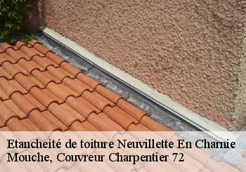 Etancheité de toiture  neuvillette-en-charnie-72140 Mouche, Couvreur Charpentier 72
