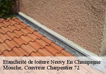 Etancheité de toiture  neuvy-en-champagne-72240 Mouche, Couvreur Charpentier 72