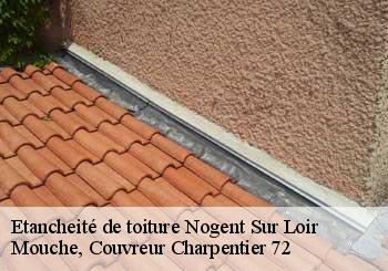 Etancheité de toiture  nogent-sur-loir-72500 Mouche, Couvreur Charpentier 72