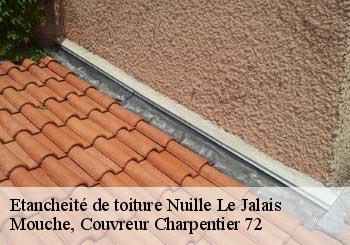 Etancheité de toiture  nuille-le-jalais-72370 Mouche, Couvreur Charpentier 72