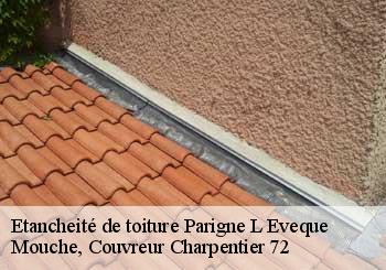 Etancheité de toiture  parigne-l-eveque-72250 Mouche, Couvreur Charpentier 72