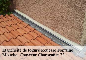 Etancheité de toiture  rouesse-fontaine-72610 Mouche, Couvreur Charpentier 72