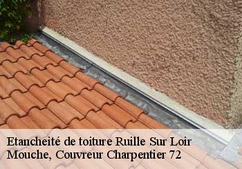 Etancheité de toiture  ruille-sur-loir-72340 Mouche, Couvreur Charpentier 72
