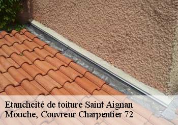 Etancheité de toiture  saint-aignan-72110 Mouche, Couvreur Charpentier 72