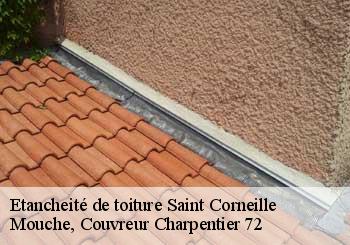 Etancheité de toiture  saint-corneille-72460 Mouche, Couvreur Charpentier 72