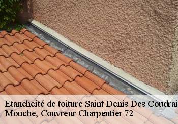 Etancheité de toiture  saint-denis-des-coudrais-72110 Mouche, Couvreur Charpentier 72