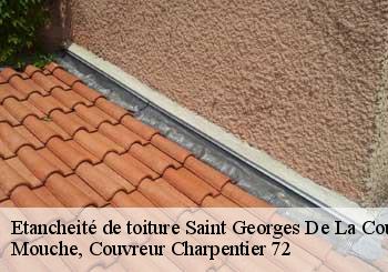 Etancheité de toiture  saint-georges-de-la-couee-72150 Mouche, Couvreur Charpentier 72