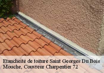Etancheité de toiture  saint-georges-du-bois-72700 Mouche, Couvreur Charpentier 72