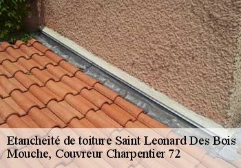 Etancheité de toiture  saint-leonard-des-bois-72590 Mouche, Couvreur Charpentier 72