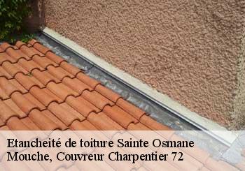 Etancheité de toiture  sainte-osmane-72120 Mouche, Couvreur Charpentier 72