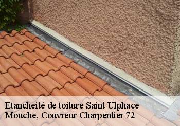 Etancheité de toiture  saint-ulphace-72320 Mouche, Couvreur Charpentier 72