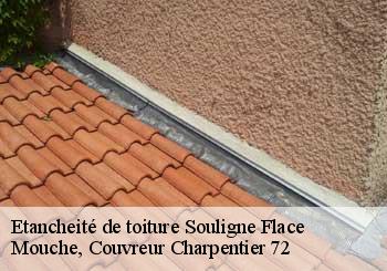 Etancheité de toiture  souligne-flace-72210 Mouche, Couvreur Charpentier 72
