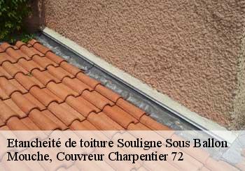 Etancheité de toiture  souligne-sous-ballon-72290 Mouche, Couvreur Charpentier 72
