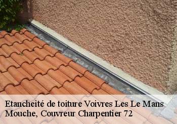 Etancheité de toiture voivres-les-le-mans-72210 Mouche, Couvreur Charpentier 72