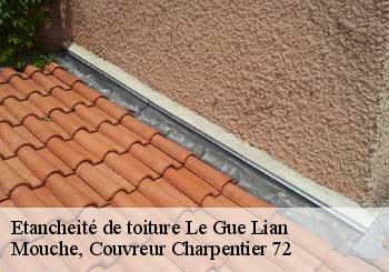 Etancheité de toiture  le-gue-lian-72170 Mouche, Couvreur Charpentier 72