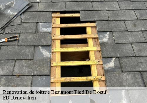 Rénovation de toiture