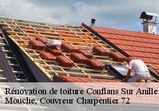 Rénovation de toiture conflans-sur-anille-72120 Mouche, Couvreur Charpentier 72