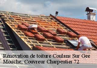 Rénovation de toiture  coulans-sur-gee-72550 Mouche, Couvreur Charpentier 72